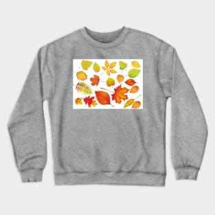 Colourful autumn leaves - Colours of fall season Crewneck Sweatshirt